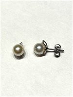 Orecchini Oxygène Donna Perle in Oro bianco Perla 8000040PP4